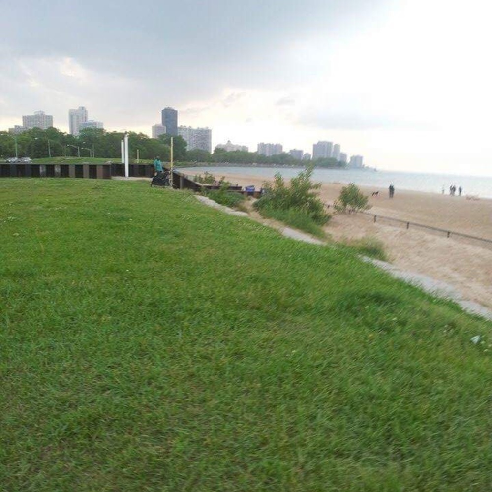 Meet your Posher, Carlos